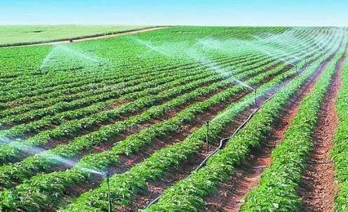 免费观看男人操女视频农田高 效节水灌溉